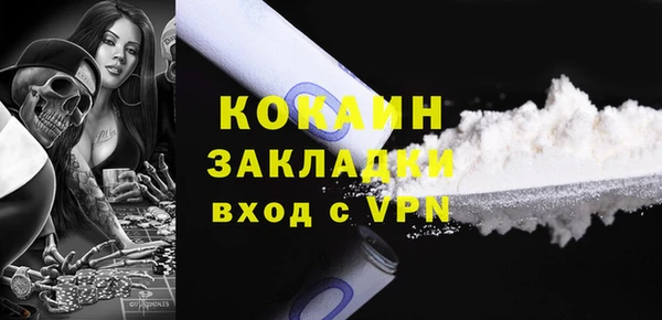 гашик Вяземский