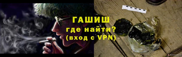 гашик Вяземский