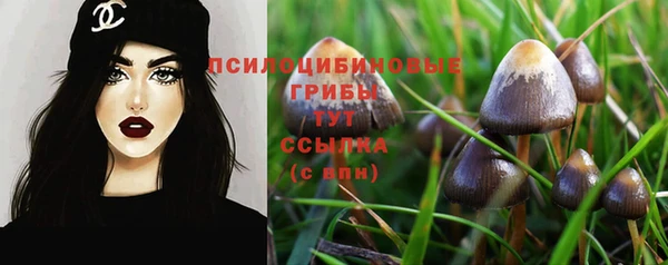прущая мука Горняк