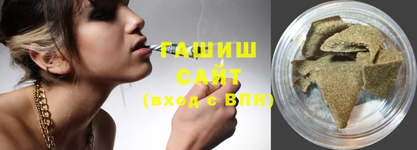 гашик Вяземский