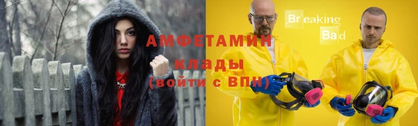гашик Вяземский