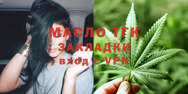 гашик Вяземский