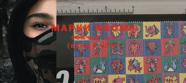 гашик Вяземский