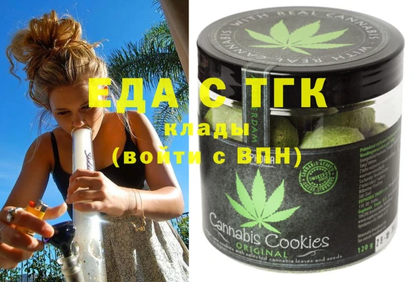 гашик Вяземский