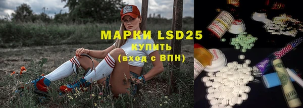 гашик Вяземский
