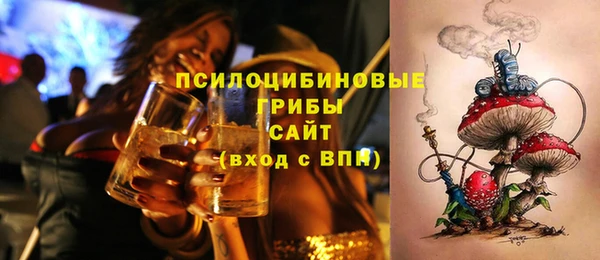 гашик Вяземский