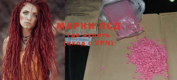 гашик Вяземский