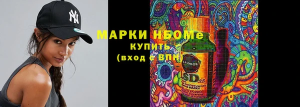 гашик Вяземский